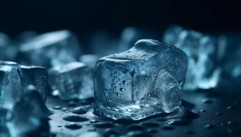 Properlilian sell ice to an eskimo